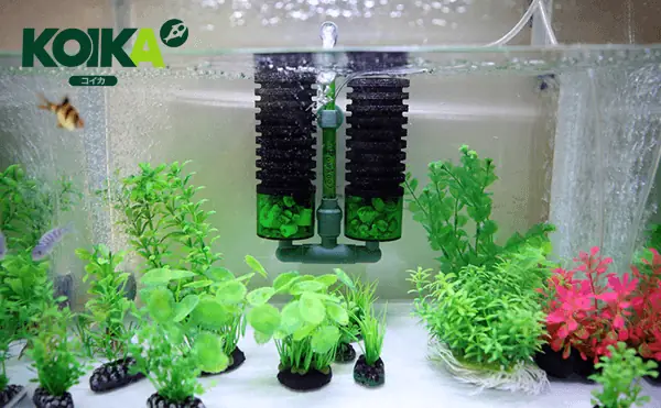 Lọc Sủi Vi Sinh Hút Cặn Bẩn