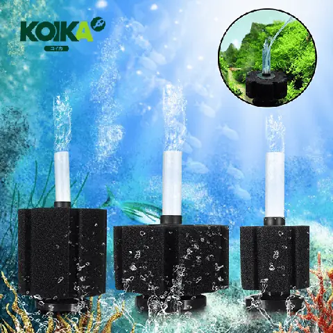 Lọc Sủi Vi Sinh Hút Cặn Bẩn