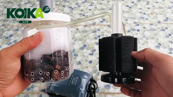 Cách Chế Lọc Vi Sinh Cho Bể Cá Đơn Giản Nhưng Chất Lượng