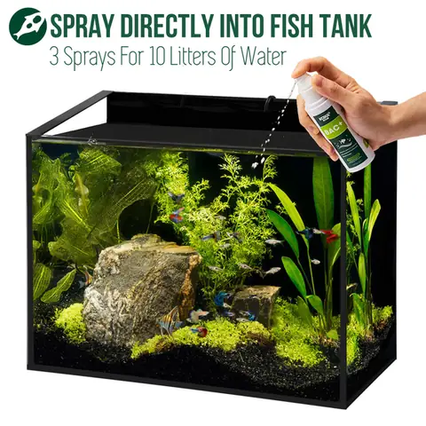 Men Vi Sinh Lọc Nước Hồ Cá Hiệu Quả