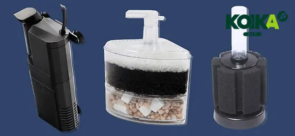 Tác Dụng Của Bộ Lọc Vi Sinh Cho Bể Cá