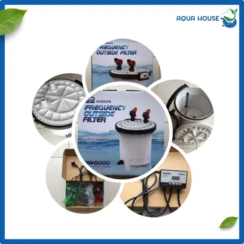 Lọc Thùng Cho Bể Cá Vàng