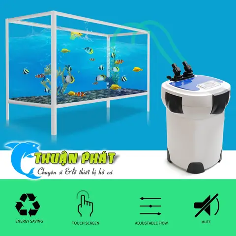 Thông Tin Sản Phẩm: