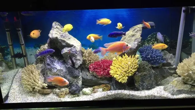 Hệ Thống Lọc Canister