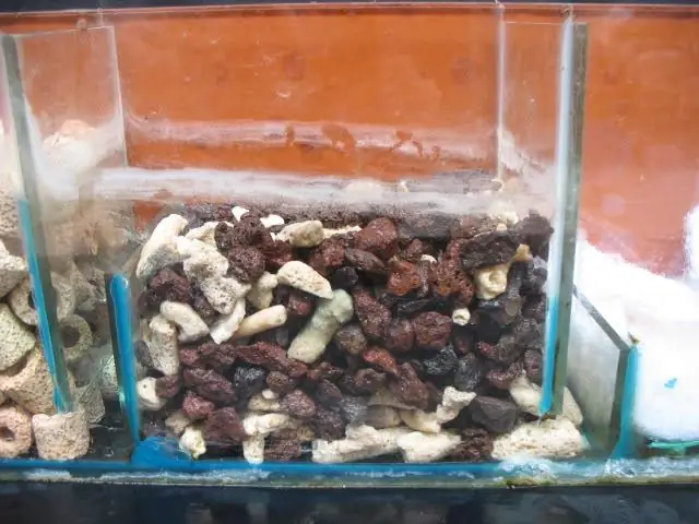 Ngăn 3: Nham Thạch Trộn San Hô Vụn: Cũng Có Tác Dụng Lọc Thô Nhưng Nhiệm Vụ Chính Là Nơi Vi Sinh Có Ích Trú Ngụ, Khi Nước Chảy Qua Sẽ Được Diệt Khuẩn Trước Khi Xuống Bể.