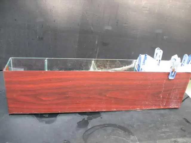 Để Tránh Lọc Tràn Lên Rêu Do Ánh Sáng Từ Bóng Thủy Sinh Hắt Vào Và Tạo Thẩm Mỹ Khi Dùng Lọc Tràn Kính Cho Bể Đúc, Thì Có Thể Dán Đề Can Vào 1 Mặt Của Lọc Tràn.