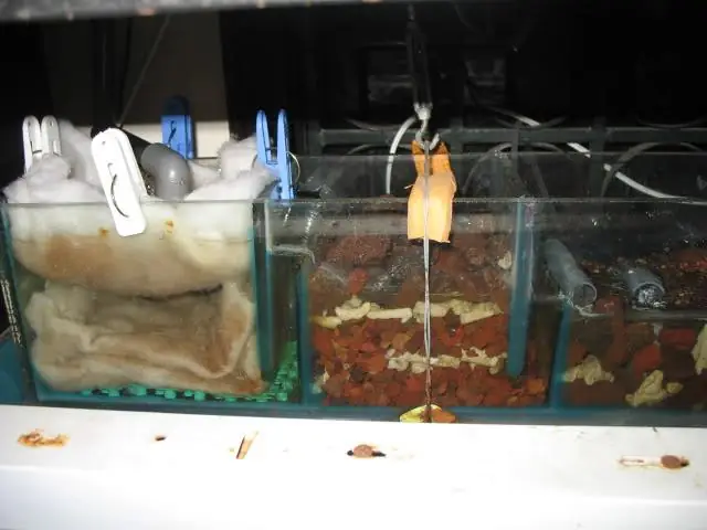 Ngăn 1 Và 2: Ngăn 1 Chỉ Có Bông Lọc, Ngăn 2 Nham Thạch Trộn San Hô.