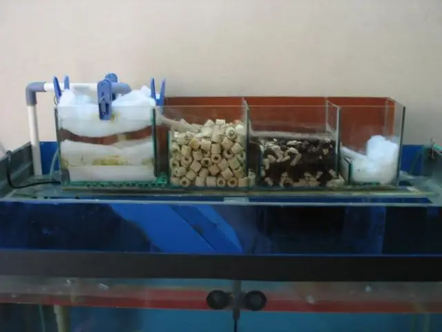 Hoàn Thiện Và Sử Dụng Lọc Ngoài