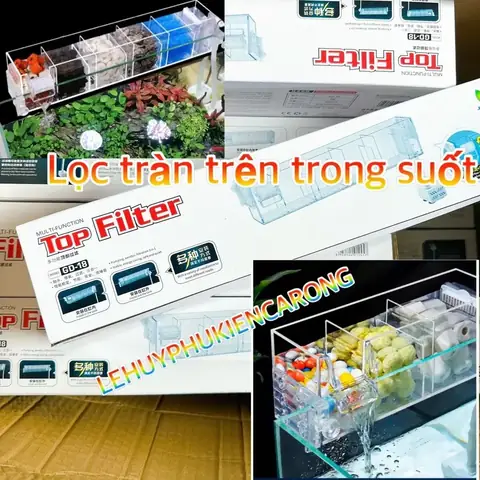 Lọc Tràn Trên Trong Suốt Nhiều Ngăn Tiện Lợi Cho Hồ Cá Cảnh ...