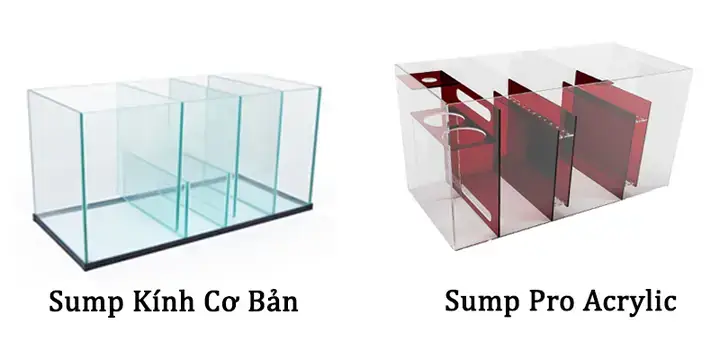 Cấu Tạo Chi Tiết Của Một Hệ Thống Lọc Vách Hồ Cá Rồng