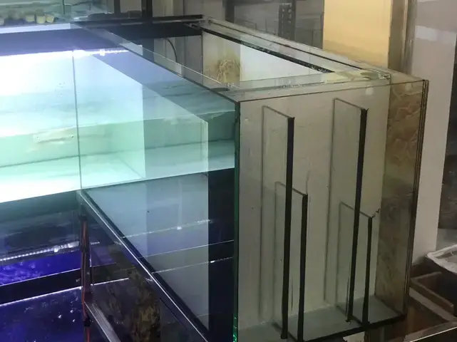 Hiểu Rõ Về Lọc Vách Hồ Cá Rồng