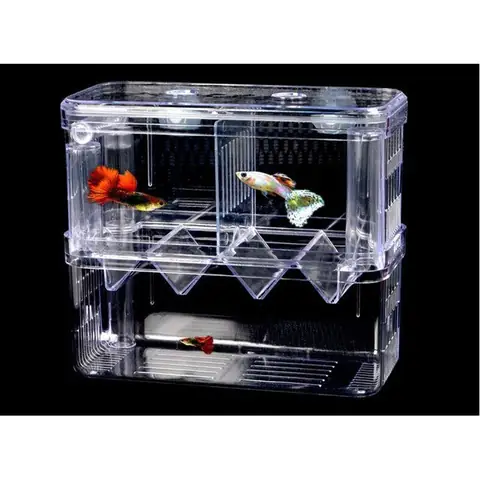 Lồng Cho Cá Đẻ: Hướng Dẫn Chọn Mua & Sử Dụng Hiệu Quả Nhất