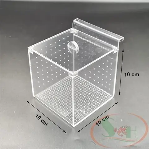Lồng Dưỡng Cá Mica: Lựa Chọn Hoàn Hảo Cho Người Nuôi Cá Cảnh Lồng Dưỡng Cá Mica: Lựa Chọn Hoàn Hảo Cho Người Nuôi Cá Cảnh