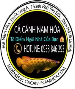 Long Hoa Cá Cảnh
