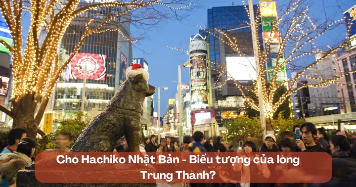 Lòng Trung Thành Của Chó