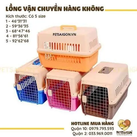Hướng Dẫn Chi Tiết Chọn Và Sử Dụng Lồng Vận Chuyển Chó Mèo An Toàn, Thoải Mái