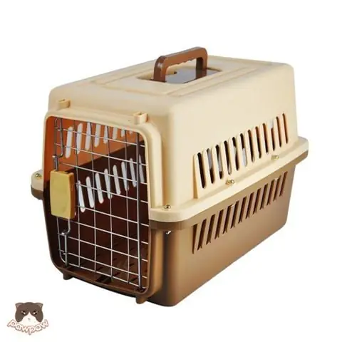 Hướng Dẫn Chi Tiết Chọn Và Sử Dụng Lồng Vận Chuyển Chó Mèo An Toàn, Thoải Mái