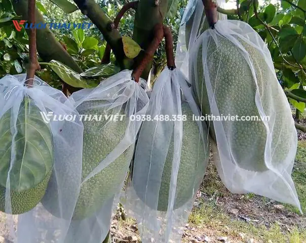 Công Dụng Đa Dạng Công Dụng Đa Dạng