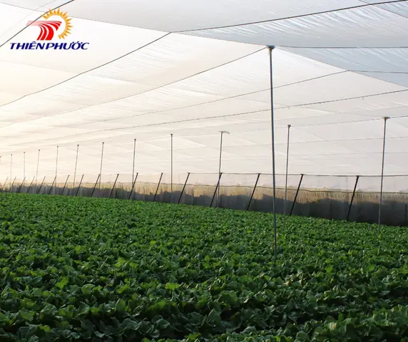 Công Dụng Đa Dạng Công Dụng Đa Dạng