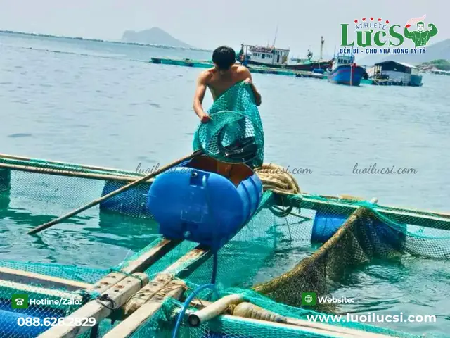 Lực Sĩ – Đơn Vị Sản Xuất Lưới Nuôi Trồng Thủy Sản Uy Tín Lực Sĩ – Đơn Vị Sản Xuất Lưới Nuôi Trồng Thủy Sản Uy Tín