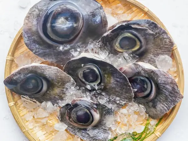 Mắt Cá Ngừ Tiềm Thuốc Bắc