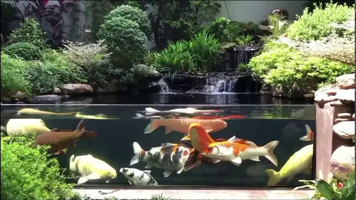 Lắp Đặt Hệ Thống Lọc Nước Và Sủi Oxy