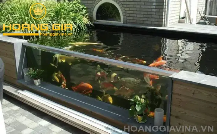1000+ Mẫu Hồ Cá Bằng Kính Siêu Đẹp Và Sang Trọng 1000+ Mẫu Hồ Cá Bằng Kính Siêu Đẹp Và Sang Trọng