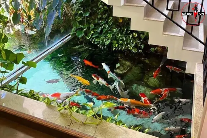 Xem Xét Việc Đặt Bể Cá Dưới Gầm Cầu Thang Xem Xét Việc Đặt Bể Cá Dưới Gầm Cầu Thang