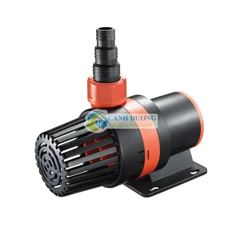 Máy Bơm Cho Hồ Cá, Hồ Cá Rồng, Thủy Sinh - Hồ Cá Cảnh Dương Máy Bơm Cho Hồ Cá, Hồ Cá Rồng, Thủy Sinh - Hồ Cá Cảnh Dương