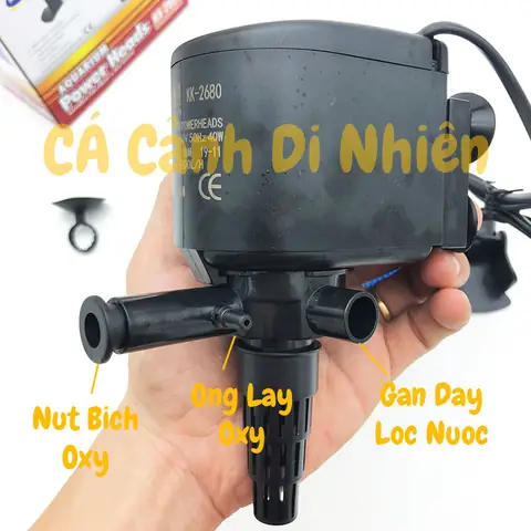 Máy Bơm Lọc Nước Hồ Bể Cá Cảnh 40w Kaokui Kk-2680