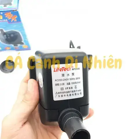 Lưu Lượng Nước Và Độ Cao Đẩy Nước