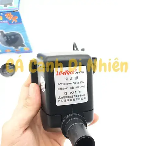 Thông Tin Hỗ Trợ Hạn Chế