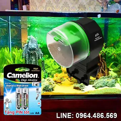 Tóm Tắt Nhanh Thông Minh