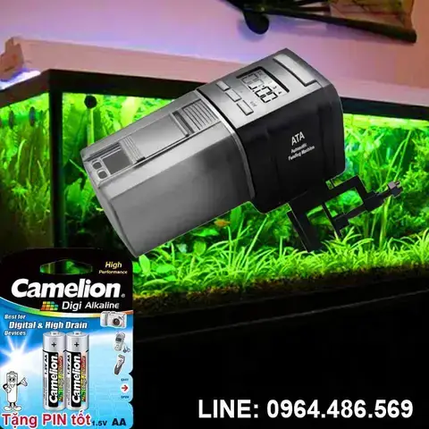 Loại Thức Ăn Phù Hợp: Đảm Bảo Sự Tương Thích