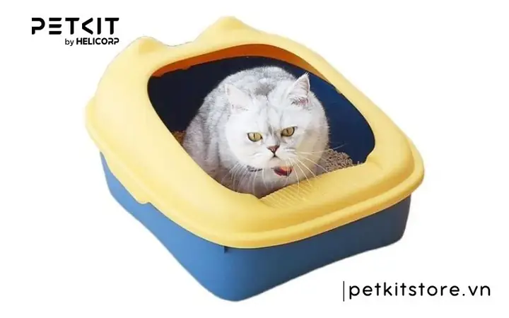 Máy Đi Vệ Sinh Cho Chó: Hướng Dẫn Chi Tiết Từ A-z Cho Người Nuôi Thú Cưng