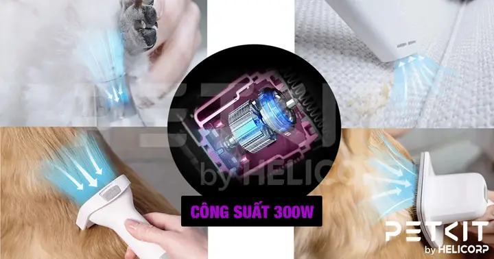 Công Suất - Bộ Lọc Máy Chải, Hút Lông Chó Mèo