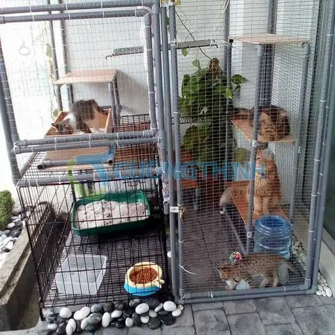 Tại Sao Vật Nuôi Luôn Để Lại Mùi Khó Chịu Trong Nhà?