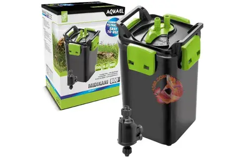 Máy Lọc Bể Cá Rồng: Chọn Loại Nào Tốt Nhất Cho "vị Vua" Của Bể?