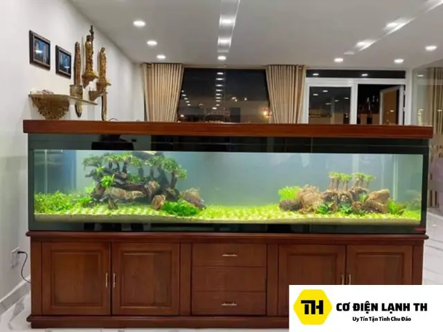 Máy Làm Lạnh Nước Hồ Cá Kiểng Cao Cấp - Cơ Điện Lạnh Th