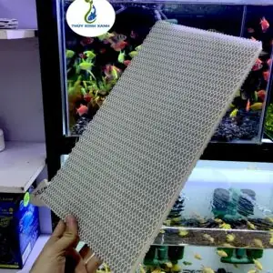 Máy Lọc Nước Hồ Cá - Shop Thủy Sinh Xanh