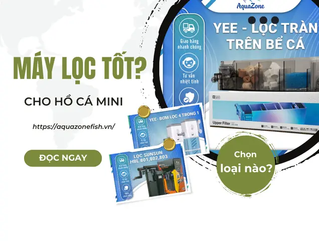 Máy Lọc Nước Hồ Cá Mini Loại Nào Tốt? - Aquazone - Siêu Thị Cá ...