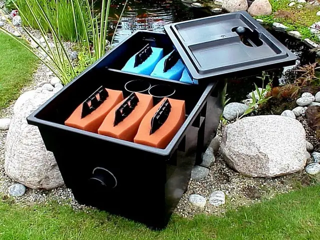 Ưu Điểm Của Máy Lọc Nước Bể Cá Ngoài Trời