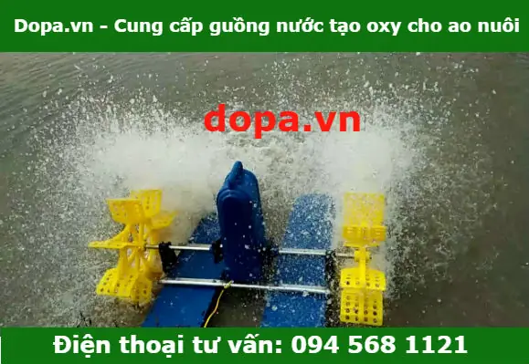 Máy Lọc Oxy Cho Hồ Cá Là Gì? Nguyên Lý Hoạt Động Và Cách Lựa Chọn