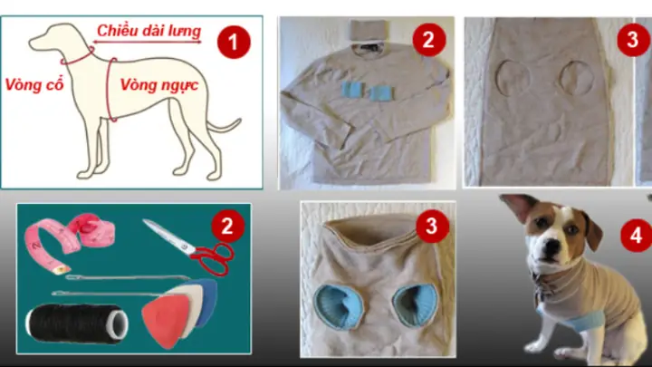 3cách May Đồ Cho Chó, Mèo Đơn Giản