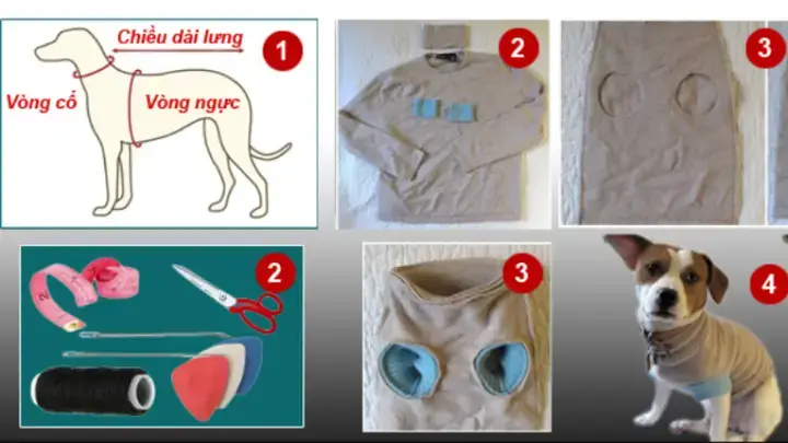 Các Kiểu Dáng Quần Áo Đơn Giản Dễ May Cho Chó Con Các Kiểu Dáng Quần Áo Đơn Giản Dễ May Cho Chó Con