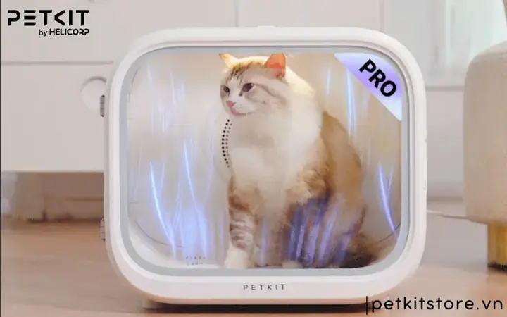 Lưu Ý Khi Sử Dụng Máy Sấy Lông Chó Mèo