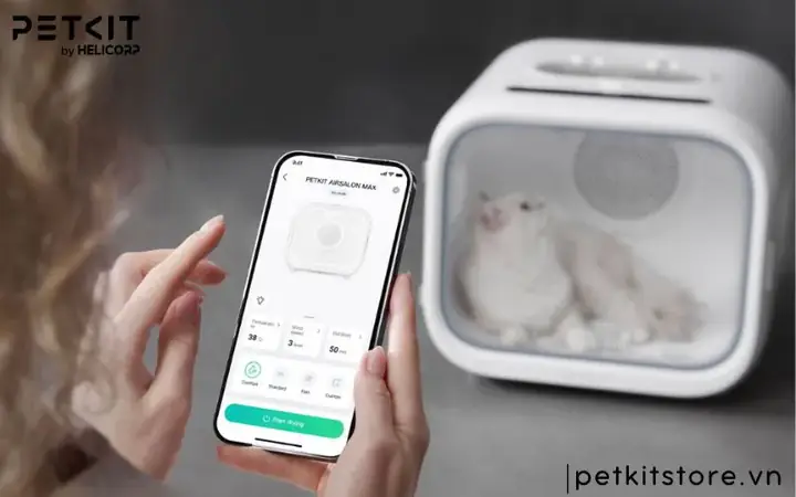 Các Bước Sấy Lông Chó Mèo Đúng Chuẩn