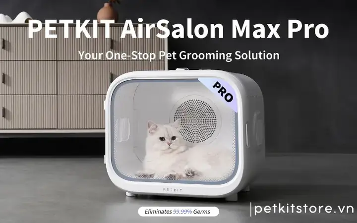 Loại Máy Sấy, Lồng Sấy Lông Có Mèo Nào “xịn" Nhất Hiện Nay