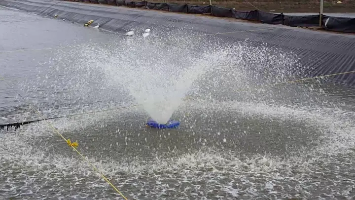 Máy Sục Khí Ao Cá