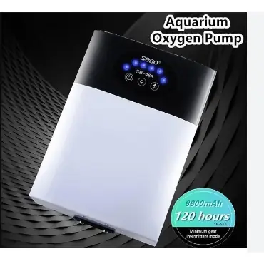 Máy Sủi Oxy Cho Bể Cá Rồng: Hướng Dẫn Cơ Bản Cho Người Nuôi Máy Sủi Oxy Cho Bể Cá Rồng: Hướng Dẫn Cơ Bản Cho Người Nuôi